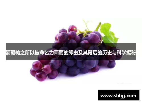 葡萄糖之所以被命名为葡萄的缘由及其背后的历史与科学揭秘