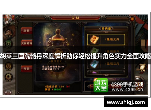 胡莱三国洗髓丹深度解析助你轻松提升角色实力全面攻略