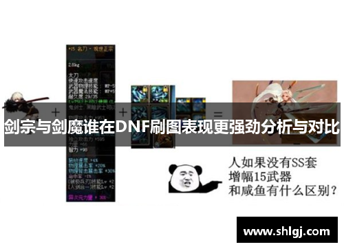 剑宗与剑魔谁在DNF刷图表现更强劲分析与对比